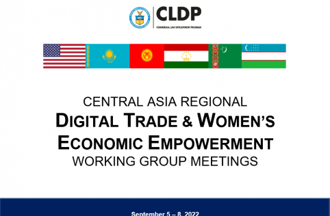 Central Asia Digital Trad and WEE Regional Working Groups 